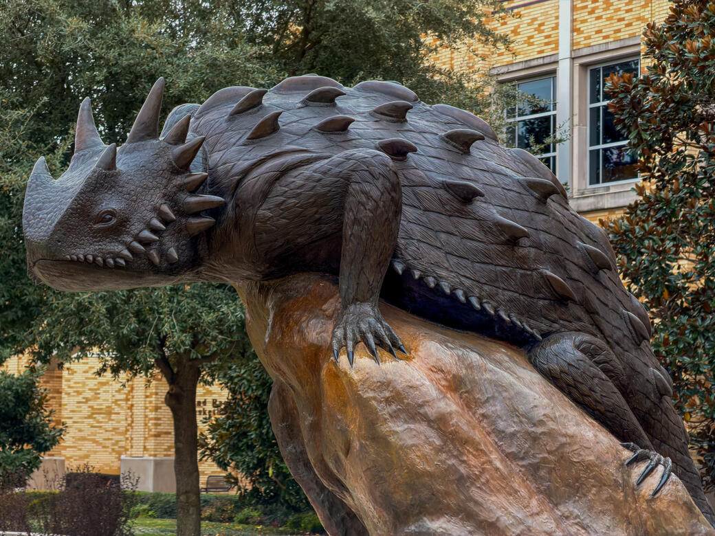 Horned Frog Statue on TCU Campus | 2025 | Fort Worth, TX