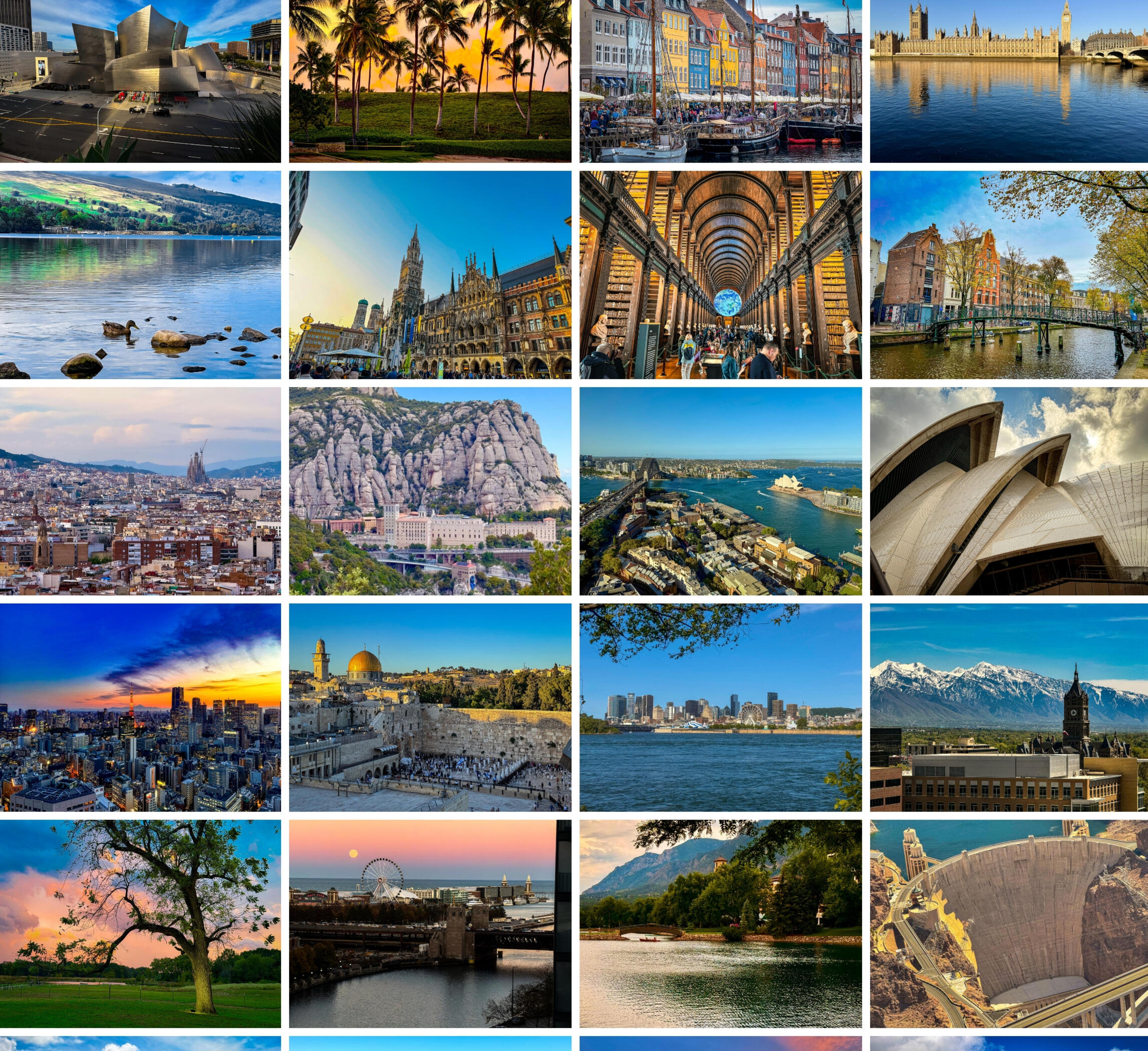 Through My Lens Photo Gallery Image